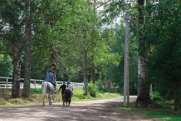 Frau Führt Pferd Auf Weide Reitpferd Mit Reiterin Nach Trainingsmarsch — Stockfoto