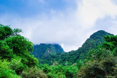Tayland bir yaban hayatı yedekte bir dağ üzerinde manzara. yeşil ağaçlar, dağlar bulutlar. sıcak bir ülkede tatil.