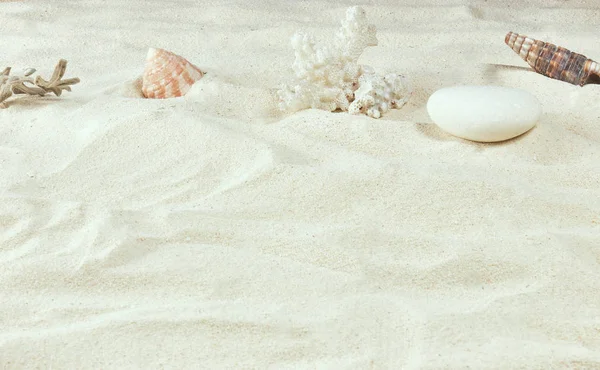 Wit Zand Schelpen Achtergrond Van Het Zee Strand Verticale Weergave — Stockfoto