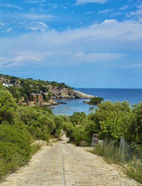Yunanistan Thassos Adası. dağların güzel manzara okyanus ve doğa. panoramik doğa Yunanistan.