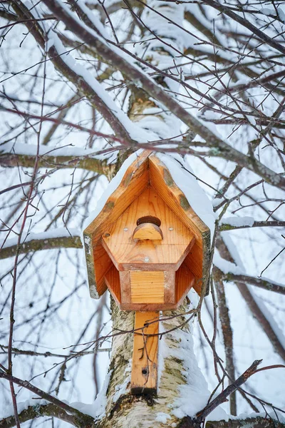 Vogelhaus Für Die Vögel Die Winter Der Birke Hängen — Stockfoto