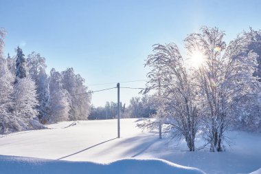 Açık Hava karlı köknar doğal görüntüsü. Soğuk günler, sessiz kış sahne ormanın içinde. Turizm kavramı. Mutlu yeni yıl Rus orman.