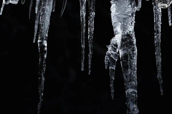 number of natural icicles on a black background. frozen water in winter. a group of dangling icicles. copy space.