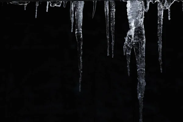 number of natural icicles on a black background. frozen water in winter. a group of dangling icicles. copy space.