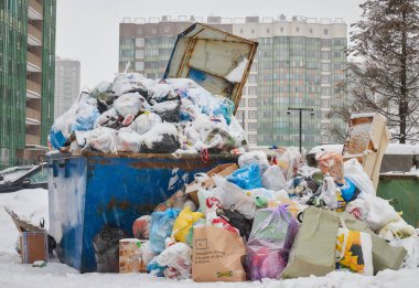 Rusya. Saint-Petersburg. Şubat 2019.a sürü çöp s