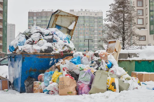 Rusya. Saint-Petersburg. Şubat 2019.a sürü çöp s