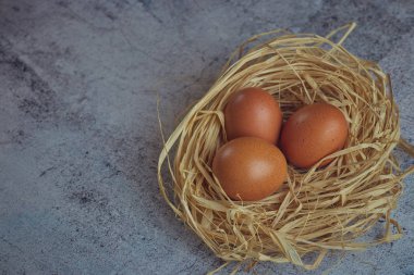 Saman yuvaya hafif Beton üzerinde kahverengi yumurta. Taze çiftlik yumurtaları. Yatay görünüm çiğ tavuk yumurta. Köyün kavramı. kopya alanı.