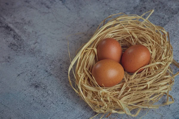 Saman yuvaya hafif Beton üzerinde kahverengi yumurta. Taze çiftlik yumurtaları. Yatay görünüm çiğ tavuk yumurta. Köyün kavramı. kopya alanı.