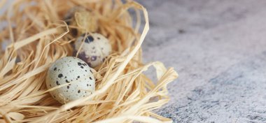 saman içinde çiğ bıldırcın yumurtası. ülke stil. hafif Beton üzerinde taze bıldırcın yumurtası grubudur. Kopya alanı.