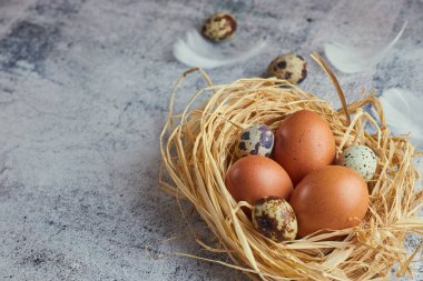 Saman yuvaya hafif Beton üzerinde kahverengi yumurta. Taze çiftlik yumurtaları. Yatay görünüm çiğ tavuk yumurta. Köyün kavramı. kopya alanı.