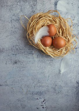 Gri beton üzerinde saman bir yuva üç kahverengi tavuk yumurtası üst görünümü. Metin için çok fazla yer var. Kopyalama alanı şenlikli Paskalya Mood.