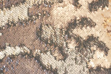 Balık ölçekler gibi görünüyor boşanmalar ile güzel payin doku.