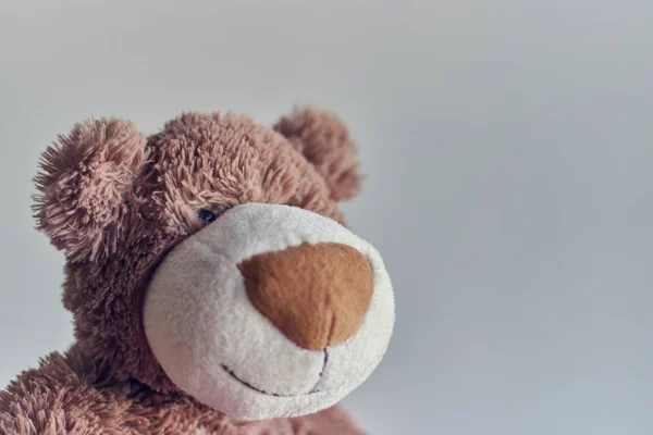 Teddy bearchildren\'s toy teddy bear isolated on a light background. closeup of a teddy bear\'s head.