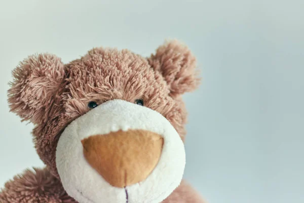 Teddy bearchildren\'s toy teddy bear isolated on a light background. closeup of a teddy bear\'s head.