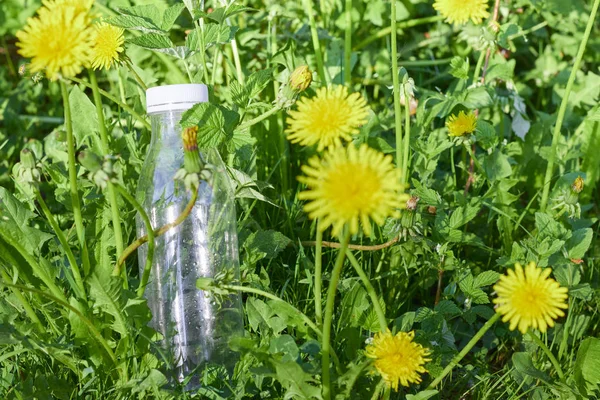 Plastflaska i grönt gräs i skogen. miljöförorening av plast. skydd av ekologi. Earth Protection Day. — Stockfoto