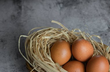 Hafif beton arka plan üzerinde saman yakın çekim bir yuvatavuk yumurtası. Kopya alanı. Tarım