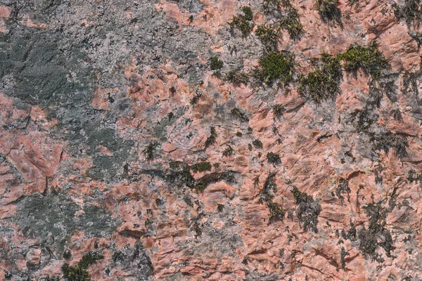 Bir kaya doku üzerinde yaratıcı bir tecrübeli liken ile güzel karalovogo renk taş - soyut arka plan fotoğrafı — Stok fotoğraf