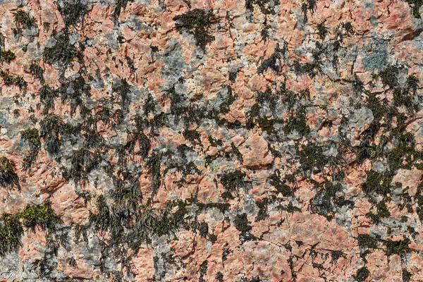 Bir kaya doku üzerinde yaratıcı bir tecrübeli liken ile güzel karalovogo renk taş - soyut arka plan fotoğrafı — Stok fotoğraf