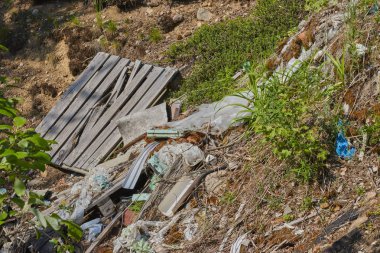 Ekolojik kriz. Ormanda yerde çeşitli çöp ve çöp. doğanın kirliliği. çevre koruma. doğanın ekoloji.