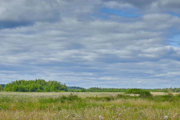 Russian nature. field overlooking the forest. landscape of russian villages.