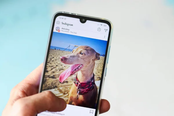 Chiang Mai, Tajlandia-24 lipca 2019: Xiaomi Redmi telefon not7 na ekranie Instagram, Social Media na ekranie. Portale społecznościowe są najpopularniejszym narzędziem. — Zdjęcie stockowe