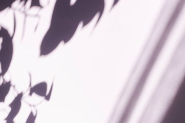 Ağaç duvar arka plan üzerinde gölge bırakır, Soyut Arka Plan Çimento Duvar Gölge Işık Kavramı, gölge efektleri