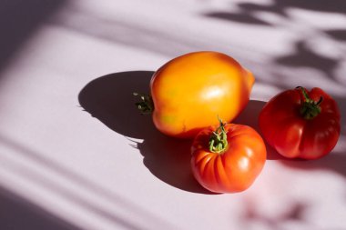 Arka planda olgun çiğ organik domates. Sert ışık, keskin gölgeler. Ek renk paleti. Dengeli beslenme vegan sağlıklı yaşam tarzı kavramı. Yaratıcı yemek afişi. bitki minimalizmi.