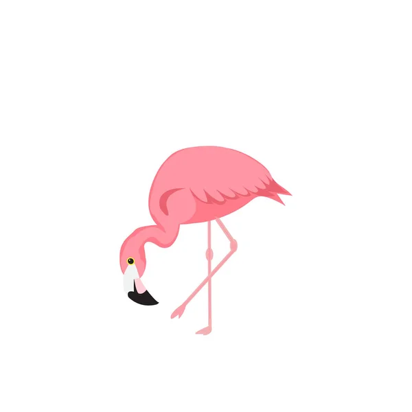 Flamingo Bird Illustration Design Background — Stock Vector