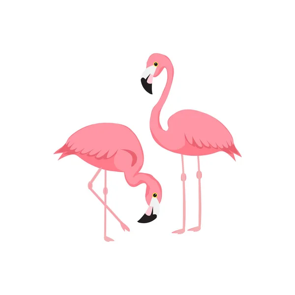 Flamingolar. Flamingo çift ve palmiye ağacı ile suluboya tropikal resimde arka plan bırakır. El parlak sanat vektör içinde çekilmiş.