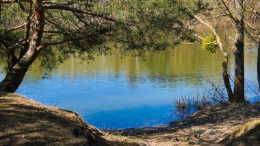 Nehir ve o boyunca ağaçlar