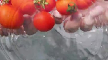 Taze kiraz domatesleri bir kase suda elle yıkanır. Taze sebze, domates. Domates yıkıyorum. Alttan kameranın görüntüsü.