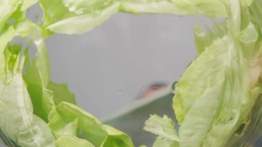 Taze vişneli domatesler salatayla birlikte bir kaseye düşer. Taze sebze, domates, salata, marul. Sağlıklı yiyecekler. Alttan kameranın görüntüsü.