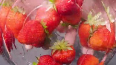 Taze kırmızı çilekler bir kase suda elle yıkanır. Taze meyve, çilek. Alttan kameranın görüntüsü