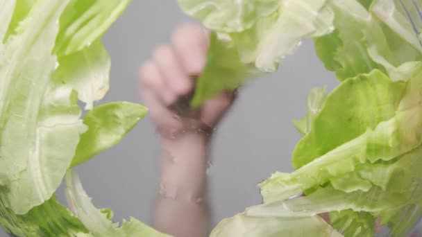 Dodaje Świeżej Zielonej Sałaty Miski Sałatka Gotowania Świeże Warzywa Sałatka — Wideo stockowe