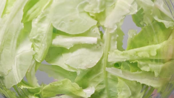 Gets Fresh Green Lettuce Bowl Cooking Salad Fresh Vegetables Salad — Stock Video