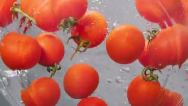 新鮮なチェリートマトが水のボウルに落ちる 新鮮な野菜 トマト トマトを洗う カメラの下からの眺め スローモーション — ストック動画