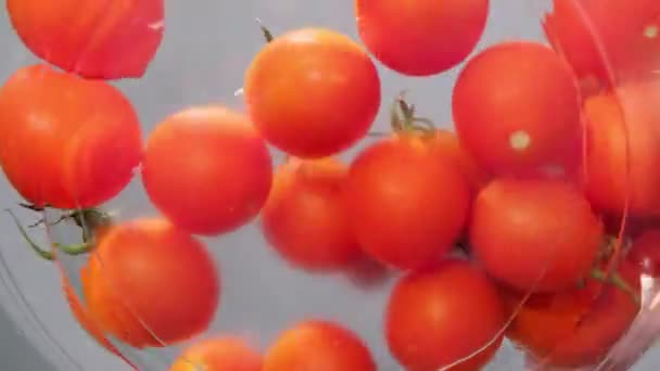 新鮮なチェリートマトは水のボウルに手で洗浄されます 新鮮な野菜 トマト トマトを洗う カメラの下からの眺め — ストック動画