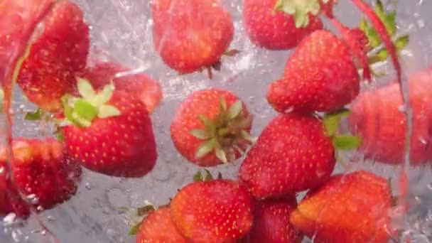 Des Fraises Fraîches Tombent Dans Bol Eau Fruits Frais Fraises — Video