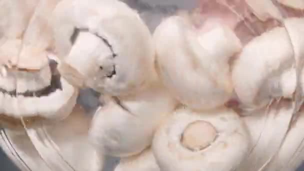 Frische Champignons Werden Von Hand Einer Schüssel Mit Wasser Gewaschen — Stockvideo