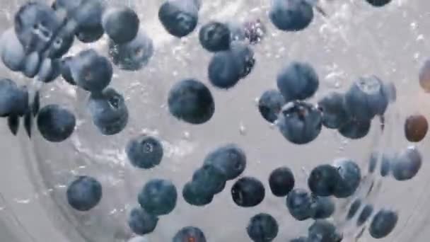 Taze Yaban Mersini Bir Kase Suya Düşer Taze Meyve Yabanmersini — Stok video