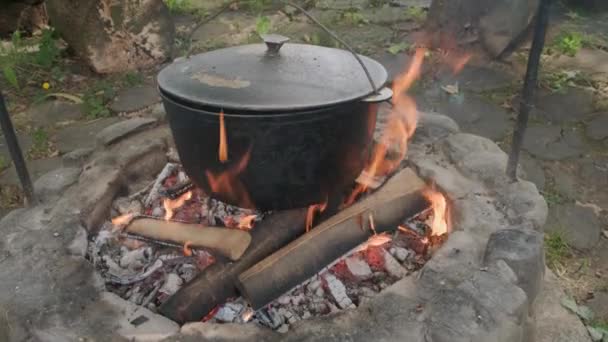 Matlagning Stor Kittel Öppen Eld Matlagning Naturen — Stockvideo