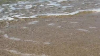 Deniz dalgaları kumlu kıyıya çarparken yavaş çekim. Kıyı bölgesi. Rahatlatıcı yaz denizi geçmişi