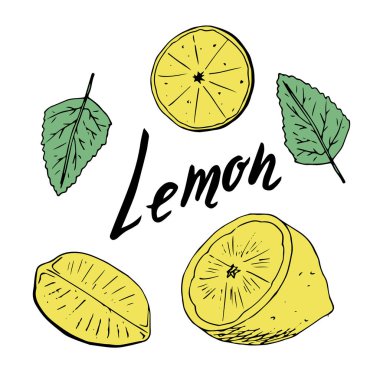 Taze limon ve nane. Beyaz arka plan, tasarım elemanları üzerinde el çizilmiş kroki vektör illüstrasyon. Menü tasarımı. Lezzetli ve taze yazı.