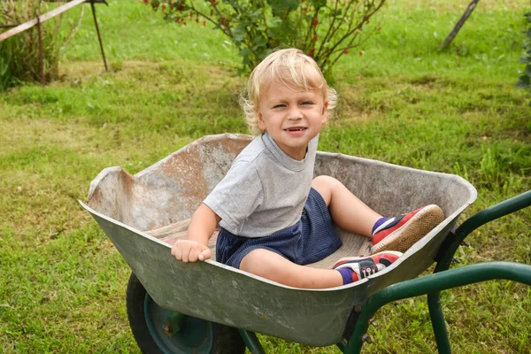 Niño feliz divirtiéndose en una carretilla en el jardín doméstico en el cálido día soleado. Juegos activos al aire libre para niños en verano. —  Fotos de Stock
