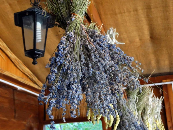 Aromatische Lavendel Lantaarn — Stockfoto