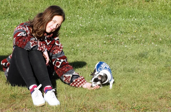 Chica Suéter Brillante Jugando Con Perro Pequeño —  Fotos de Stock