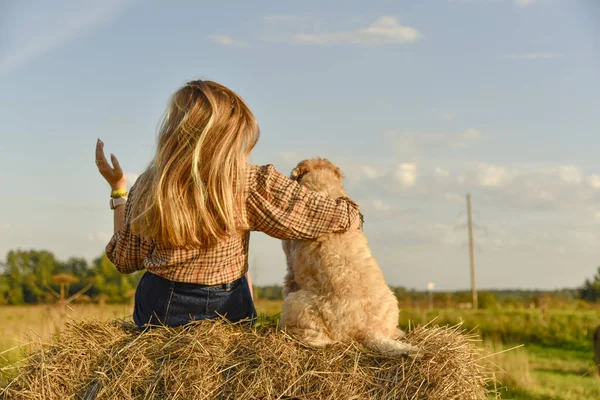 Een meisje met lang haar zit naast een ruige hond op een hooiberg met haar rug naar de camera — Stockfoto