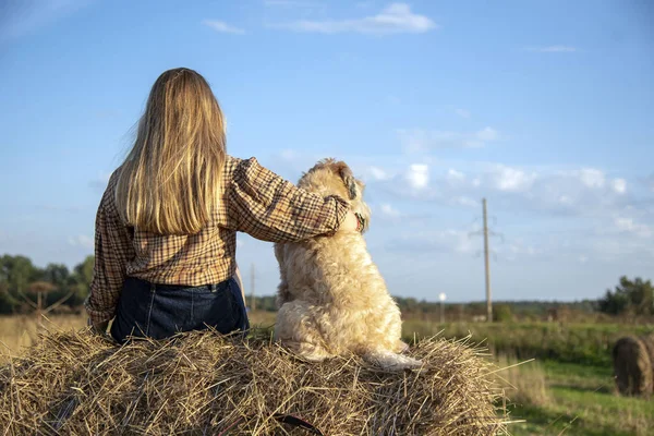Een meisje met lang haar zit naast een ruige hond op een hooiberg met haar rug naar de camera — Stockfoto