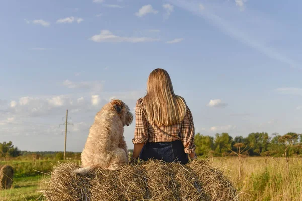 Een meisje met lang haar zit naast een ruige hond op een hooiberg met haar rug naar de camera — Stockfoto