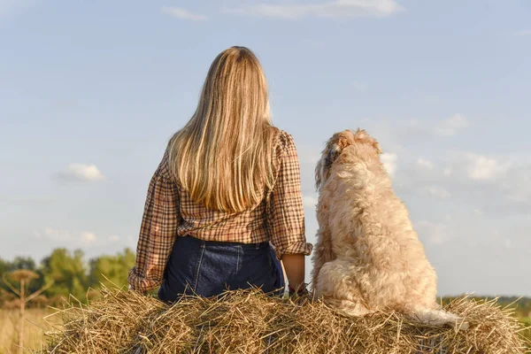 Een meisje met lang haar zit naast een ruige hond op een hooiberg met haar rug naar de camera — Stockfoto